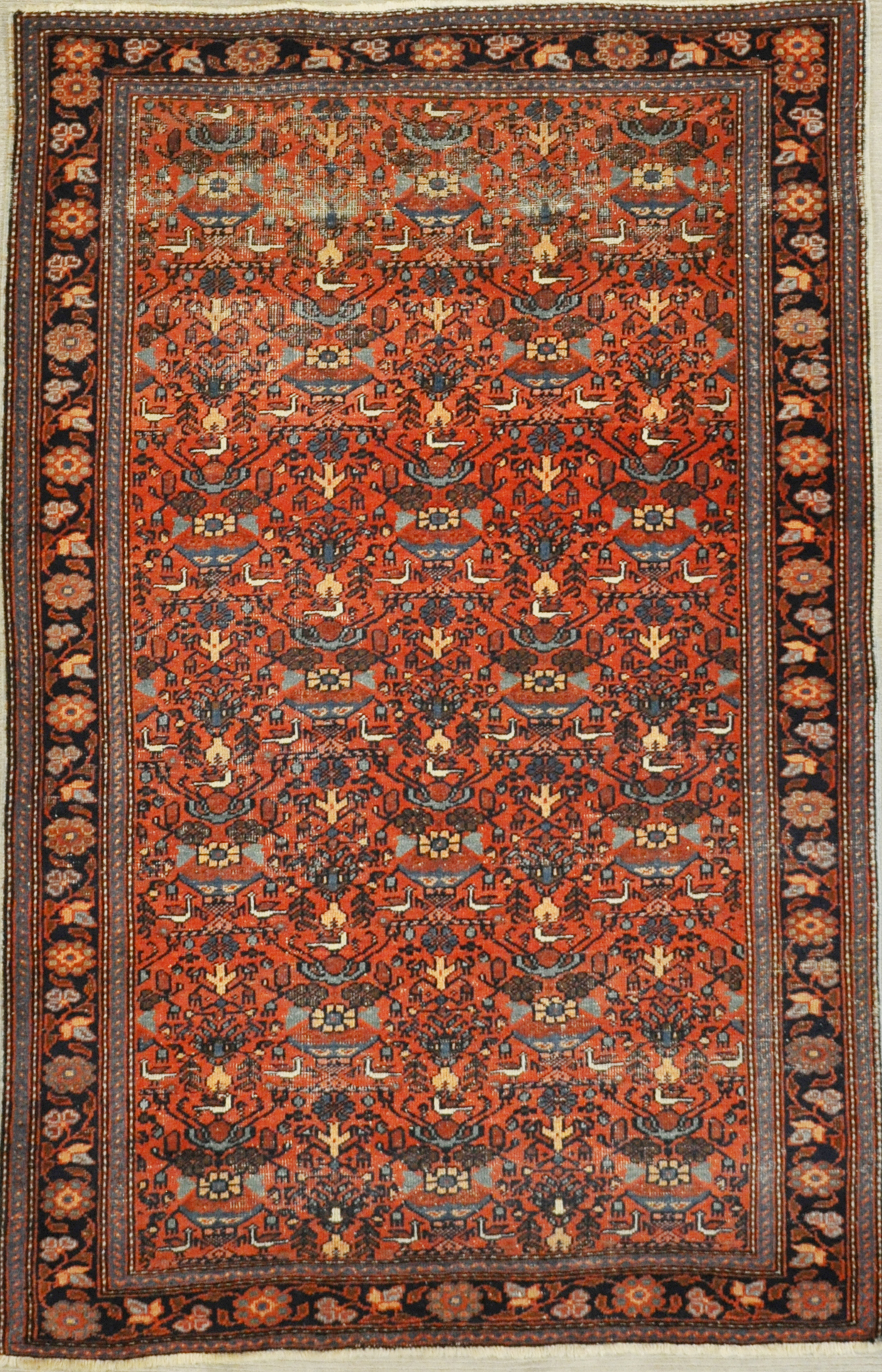 Fine Afshar rug santa barbara design center rugs and more oriental carpet
