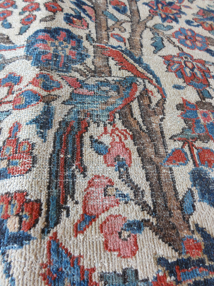 Antique Kashan Rugs & More Oriental Carpets 35879