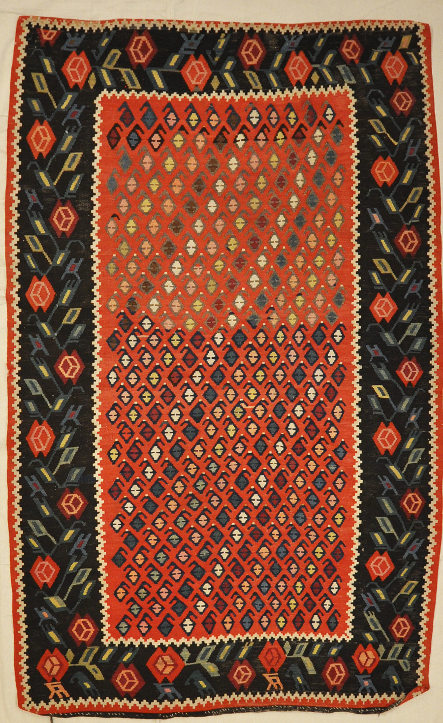 Kelim Rugs& More Oriental Carpets 32116