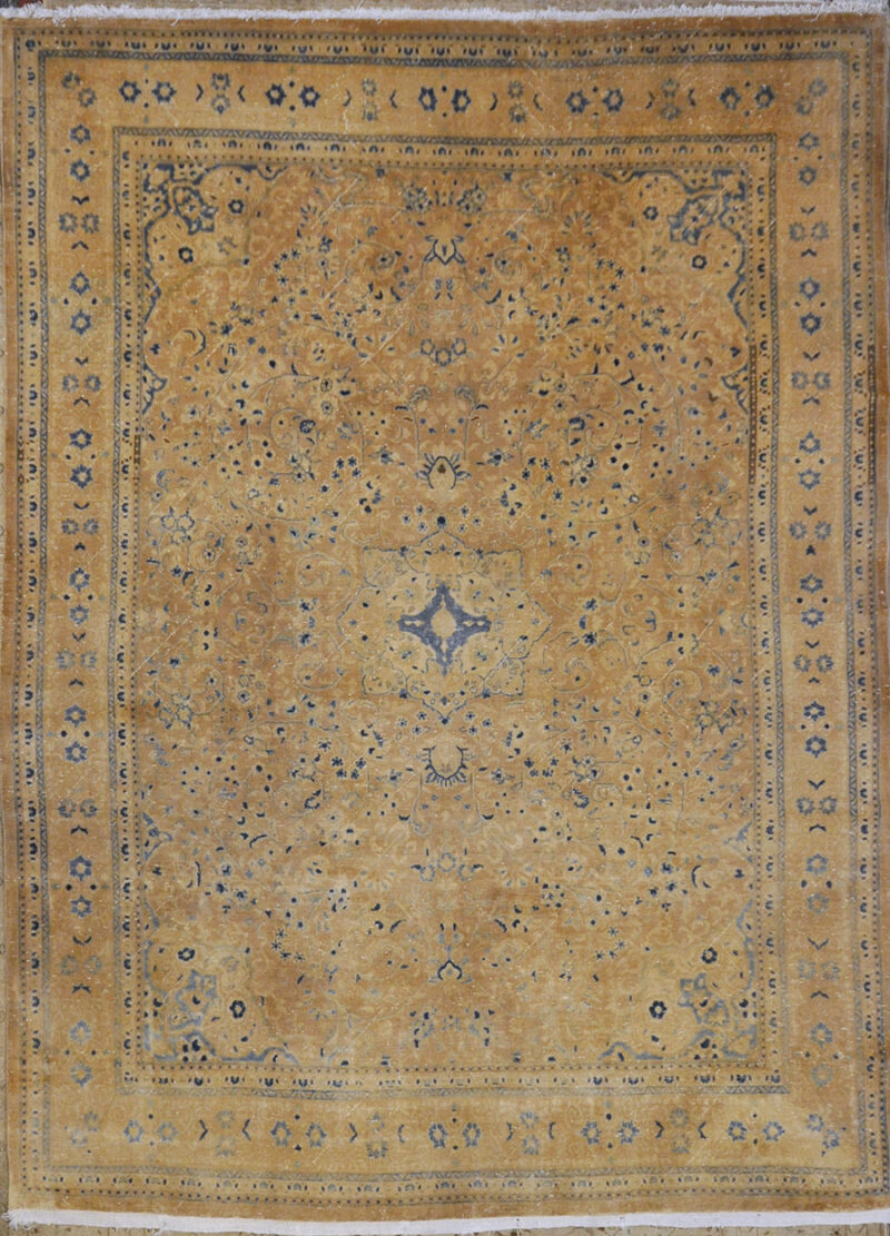 Antique Persian Rugs & More Oriental carpets
