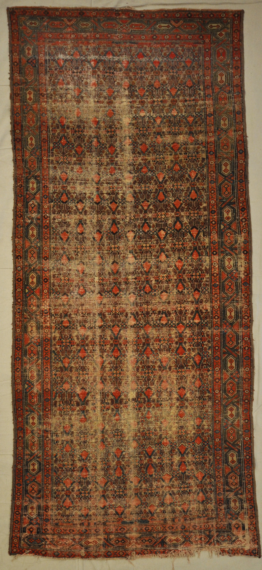 Antique Malayer Rugs & More Oriental Carpets 28926 .