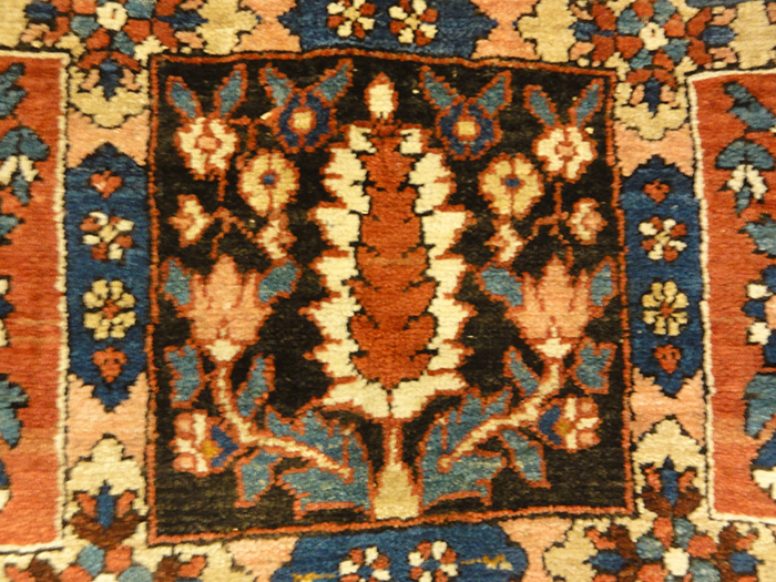 Antique Bakhtiari Rugs & More Oriental Carpets
