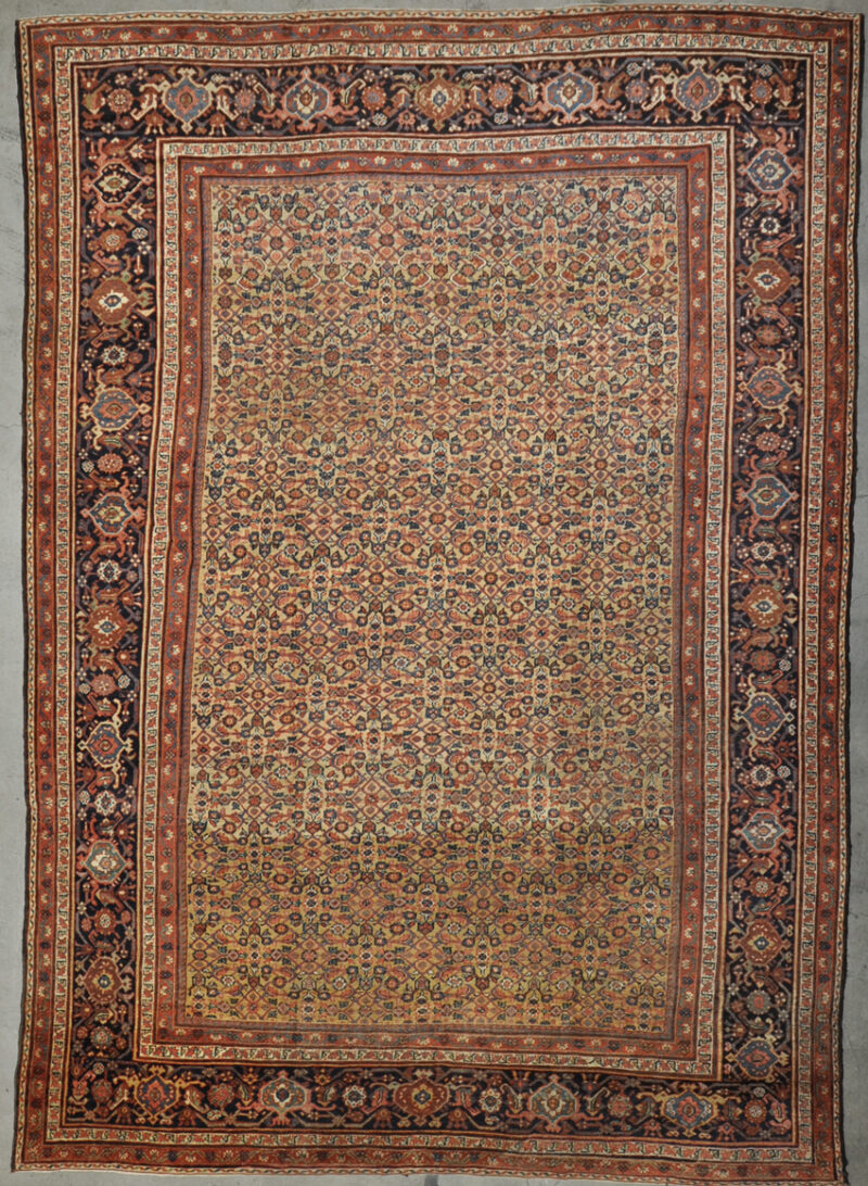 Ziegler & Co Sultanabad rugs and more oriental carpet 34123-